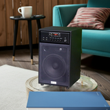 Loa karaoke Bluetooth W242 (giá không micro)