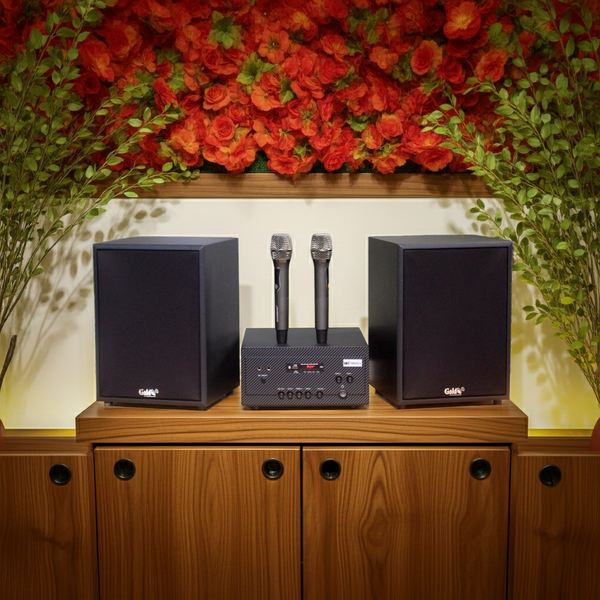 DÀN KARAOKE GOLD120MI: (AMPLY 900W tích hợp Micro không dây + 2 V120 120W)