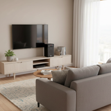 Loa karaoke Bluetooth W242 (giá không micro)