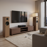 Dàn loa cây karaoke gia đình: W270 Goldsound (đã tích hợp âm ly)