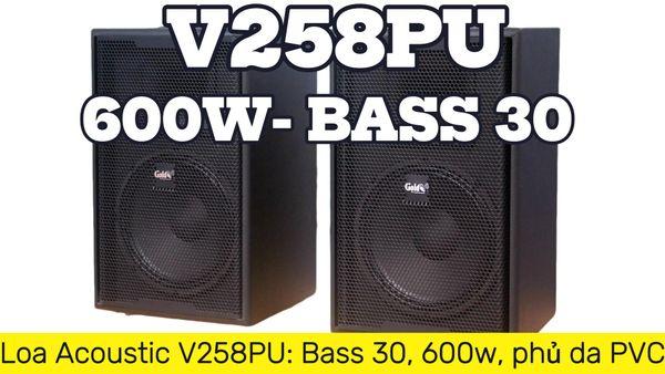 Loa Acoustic V258PU Goldsound (Số lượng 1 loa): loa bass 30 cm, treble kèn, kích thước rộng 39 cm, cao 60.5 cm, sâu 39 cm, phủ da PVC cao cấp, bảo hành dài hạn 5 năm.