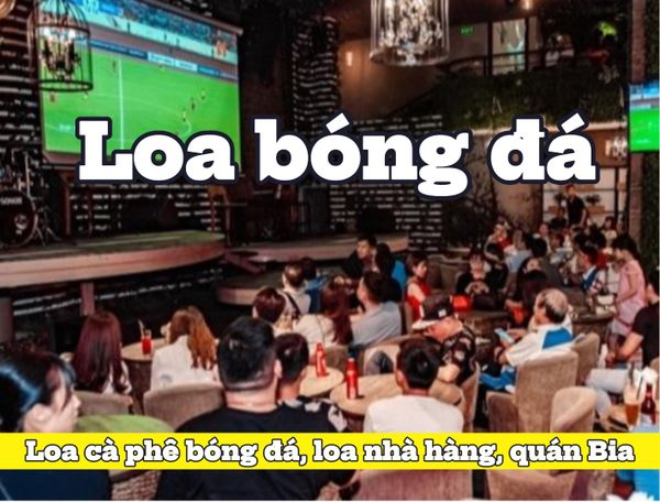 Top 10 cấu hình loa cafe BÓNG ĐÁ, Loa thông báo, loa phát nhạc nền tự động, Amply 4 - 6 vùng âm lượng, loa được thiết kế riêng cho quán, bật lớn không tạp âm, miễn phí công lắp đặt, bảo hành dài hạn 5 năm.