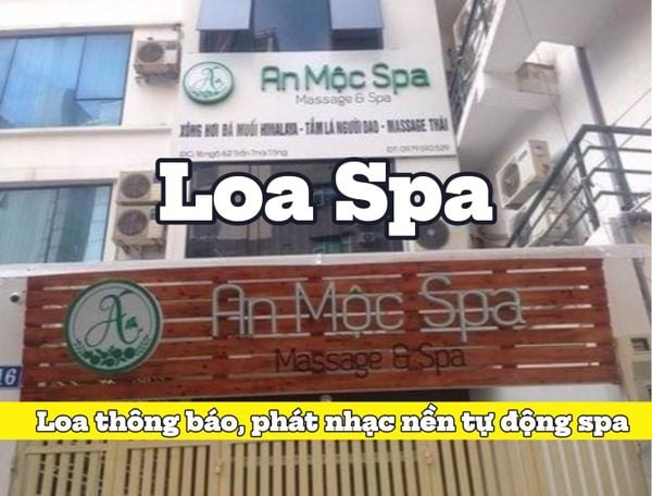 Top 10 loa spa chuyên phát nhạc nền tự động, Amply 4 - 6 vùng âm lượng, loa được thiết kế riêng cho quán, bật lớn không tạp âm, miễn phí công lắp đặt, bảo hành dài hạn 5 năm.
