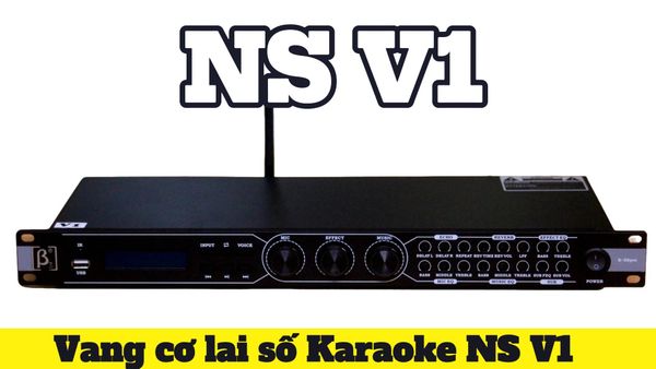 Top 3 bộ vang thông dụng, kết nối dễ dàng nhất với dàn âm ly trên thị trường