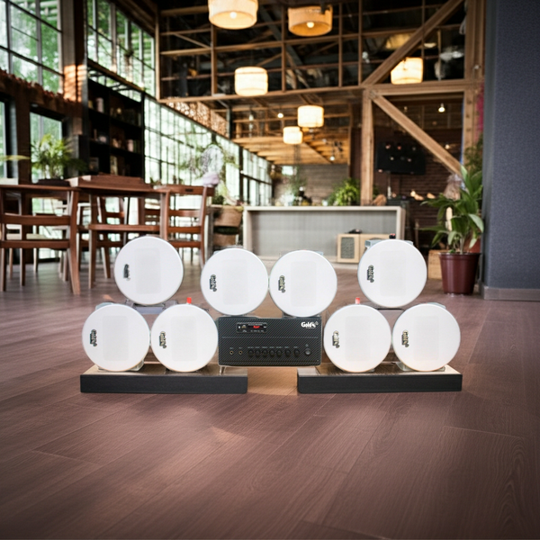 Loa âm trần thông báo phát nhạc nền tự động Gold4cafe 8.0 (01 Amply + 8 loa âm trần), loa được thiết kế riêng cho quán, bật lớn không tạp âm, bảo hành dài hạn 5 năm.