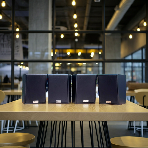 Loa treo tường V40 (sl 1 chiếc)