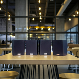 Loa treo tường V40 (sl 1 chiếc)