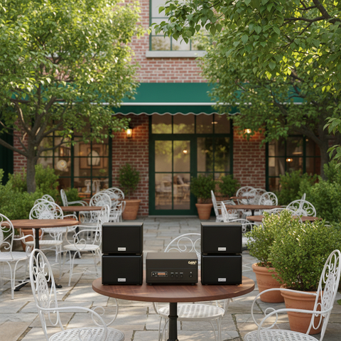 Dàn loa sân vườn: Amply A156PU Goldsound 200w + 4 loa Goldsound ngoài trời V101-NT - 15w, loa được thiết kế riêng cho quán, bật lớn không tạp âm, không bao gồm công lắp đặt, bảo hành 12 tháng