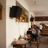 Loa vệ tinh V50  (1 con)