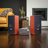 Dàn loa cây V385-A900 (Amply 900w+ loa V385 + Mic có dây)