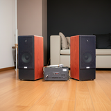 Dàn loa cây V385-A900 (Amply 900w+ loa V385 + Mic có dây)