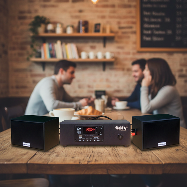HÀNG TRƯNG BÀY: dàn âm thanh quán [Amply 60w + 2 loa treo tường 15w Goldsound] - BH 6 tháng