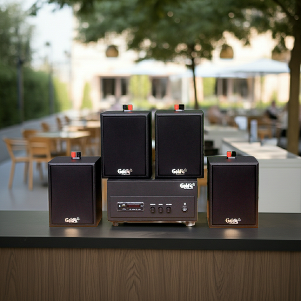 Dàn loa treo tường: Amply A156PU Goldsound 200w + 4 loa Goldsound V24c - 24w, loa được thiết kế riêng cho quán, bật lớn không tạp âm, bảo hành dài hạn 5 năm.