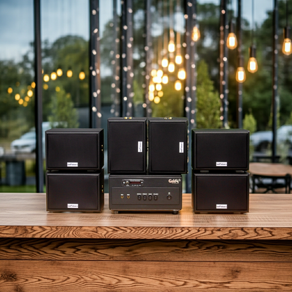 Dàn loa sân vườn: Amply A154PU Goldsound 150w + 6 loa Goldsound ngoài trời V101-NT - 15w, loa được thiết kế riêng cho quán, bật lớn không tạp âm,  không bao gồm công lắp đặt, bảo hành 12 tháng
