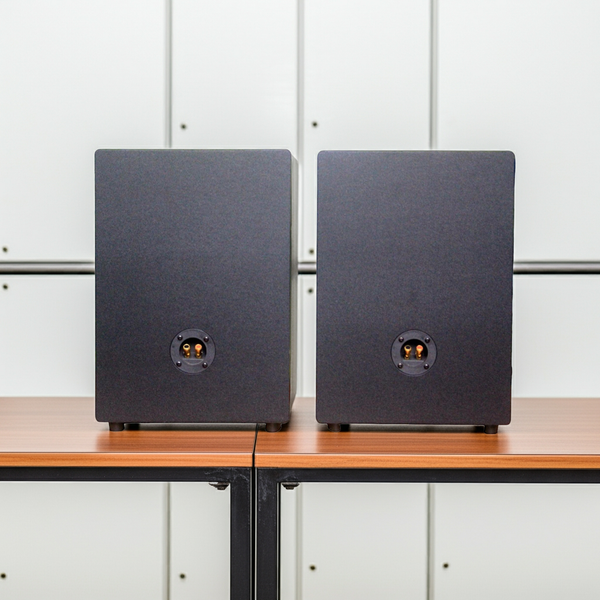 Loa hội trường V230 DA Goldsound (Số lượng 1 loa) công suất 200w, loa bass 25 cm, treble 10 cm, kích thước rộng 32 cm, cao 47 cm, sâu 31 cm, bảo hành dài hạn 5 năm.