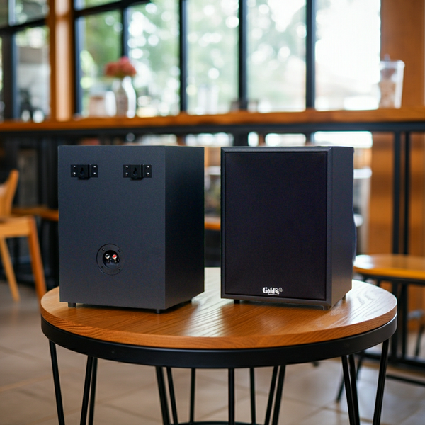 Loa vệ tinh treo tường V120 120w Goldsound (Số lượng 1 loa), công suất 120w, loa bass 20 cm, treble 10 cm, kích thước rộng 28 cm, cao 39.5 cm, sâu 27 cm, bảo hành dài hạn 5 năm.