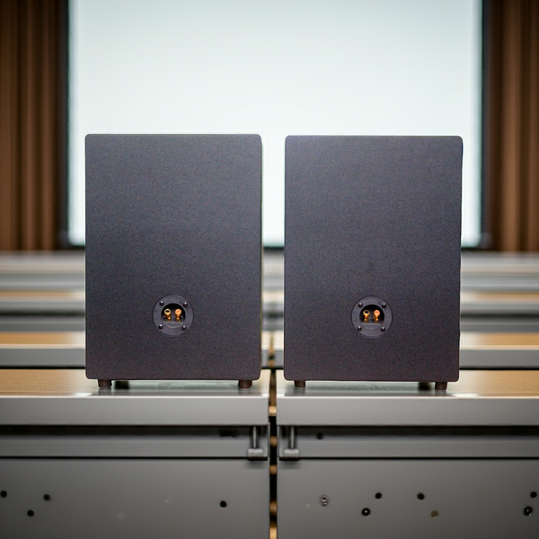 Loa Acoustic, hội trường V230 SG Goldsound (số lượng 01 loa), công suất 200w, loa bass 25 cm, treble 10 cm, kích thước rộng 32 cm, cao 47 cm, sâu 31 cm, bảo hành dài hạn 5 năm.