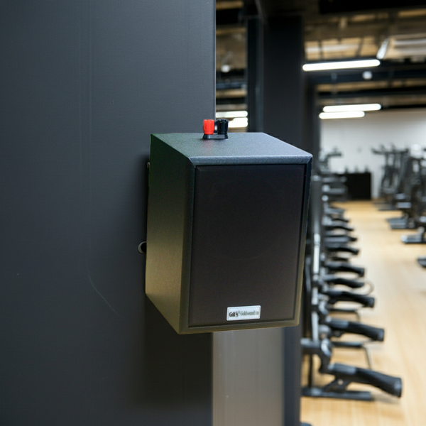 Loa treo tường V24C_TH (số lượng 01 loa), công suất 24w, loa bass 4 inch, treble 2 inch, kích thước rộng 16 cm, cao 22.5 cm, sâu 16.5 cm, bảo hành dài hạn 5 năm.