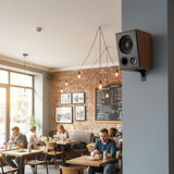 Loa vệ tinh V51C - 30w (1 chiếc)