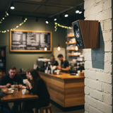 Loa vệ tinh V51C - 30w (1 chiếc)