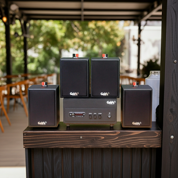 Dàn loa treo tường: Amply A156PU Goldsound 200w + 4 loa Goldsound V24c - 24w, loa được thiết kế riêng cho quán, bật lớn không tạp âm, bảo hành dài hạn 5 năm.