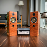 Dàn loa cây karaoke gia đình V610