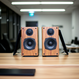 Loa vi tính HIFI 2.0 GS51 Basic 2