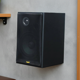 Loa vệ tinh V100 - 100w (1 loa)