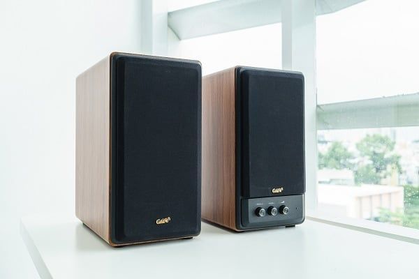 Loa vi tính GS31 Bookshelf 1