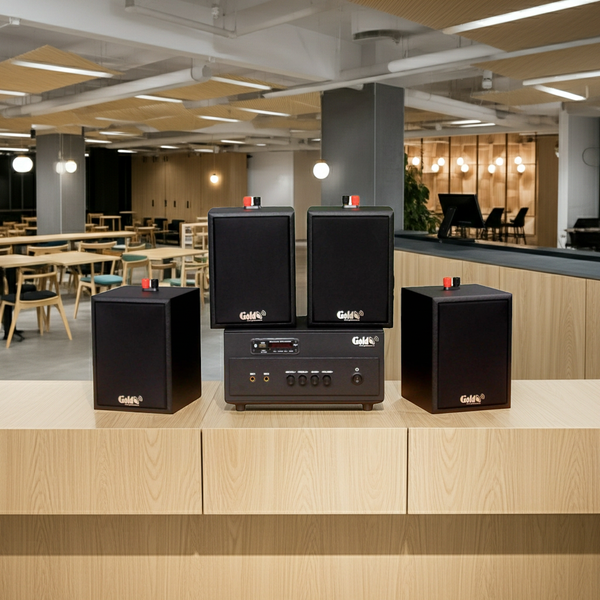 Dàn loa treo tường: Amply A154PU Goldsound 150w + 4 loa Goldsound V24c - 24w, loa được thiết kế riêng cho quán, bật lớn không tạp âm, bảo hành dài hạn 5 năm.