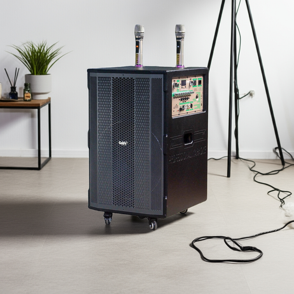 Top 5 bộ loa kéo giá rẻ, đáp ứng mọi nhu cầu của khách hàng