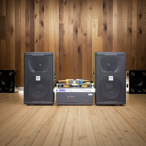 Dàn Karaoke Acoustic: 1 Amply A918 + 2 V238 + 1 vang + 2 Micro - Hàng trưng bày đồng giá cuối năm