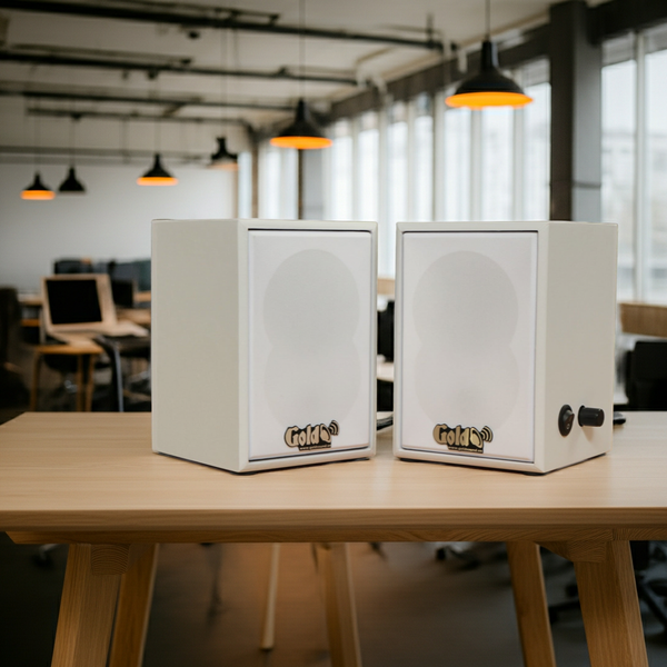 Loa không dây treo tường V27 UHF Goldsound, công suất 27w, loa bass 3 inch, kích thước rộng 12.6 cm, cao 18 cm, sâu 13 cm, bảo hành dài hạn 5 năm.