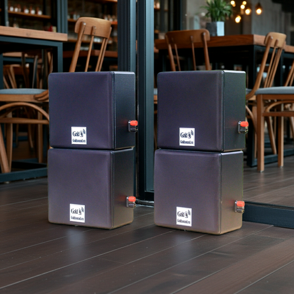 Loa Goldsound vệ tinh treo tường V23 (số lượng 01 loa), công suất 23w, loa bass 4 inch, treble 2 inch, kích thước rộng 22 cm, cao 22 cm, sâu 14 cm, bảo hành dài hạn 5 năm.