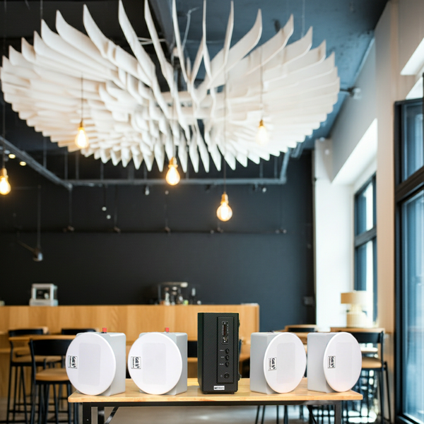 Loa âm trần thông báo, phát nhạc nền tự động: Amply AMT155 + 4 VAT38, loa được thiết kế riêng cho quán, bật lớn không tạp âm, miễn phí công lắp đặt, bảo hành dài hạn 5 năm.