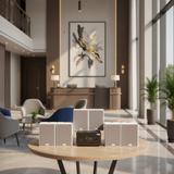 Dàn loa treo tường thông báo phát nhạc nền tự động: Amply A917 + 6 V70C