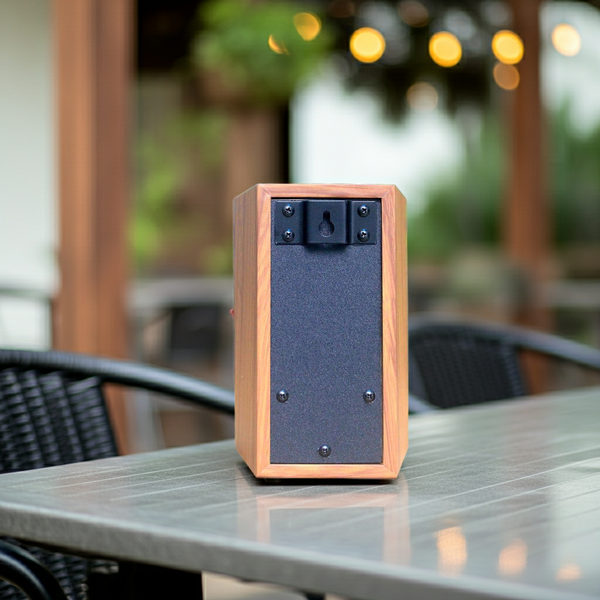 Loa vệ tinh V51C - 30w (1 chiếc)