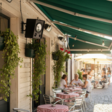 Loa vệ tinh treo tường sân vườn chống nước V80 - 80w (1 chiếc)