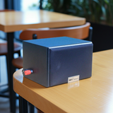 Loa vệ tinh V17 - 17w (sl 1 chiếc)