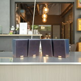 Loa vệ tinh V50  (1 con)