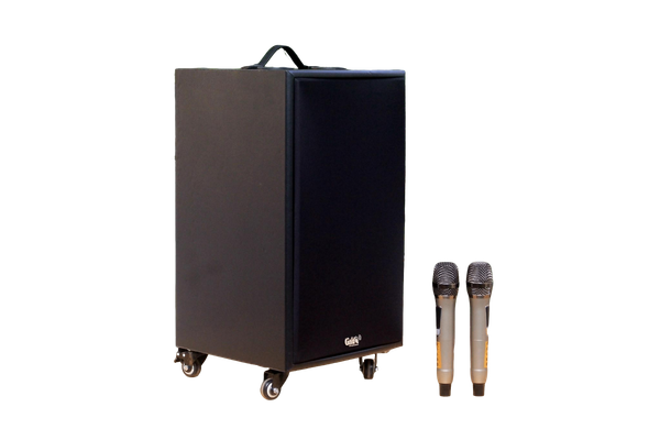 Loa di động D220PU - MI, công suất 220w, pin 4 - 6 tiếng, kèm 2 Micro, 1 bass, 1 treble, bluetooth 5.0, cổng rca, khe usb, thiết kế loa thùng gỗ, cao 57.25 cm, rộng 35.5 cm, sâu 36 cm. Bảo hành 12 tháng