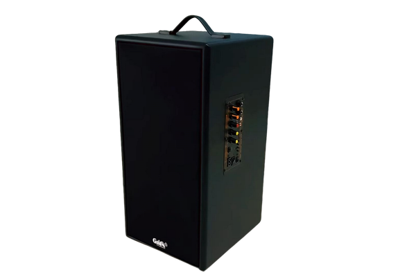 Loa Bluetooth D160PU công suất 160w, bass 20 cm, treble 10 cm, bluetooth 5.0, cổng cắm Micro, cổng rca, khe usb, thiết kế loa thùng gỗ cao 57 cm, rộng 28 cm, sâu 30 cm. Bảo hành 12 tháng