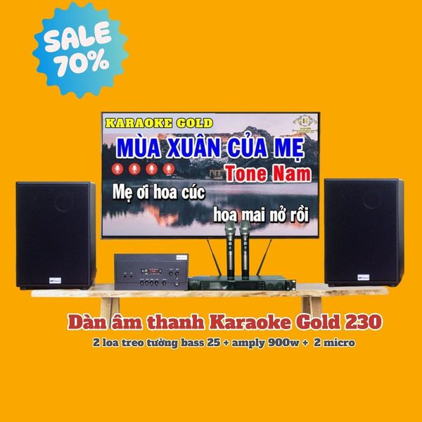 Top 12 dàn karaoke, loa kéo phù hợp nhất với gia đình chơi tết này
