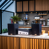 Loa vệ tinh V45  Goldsound - 40 w