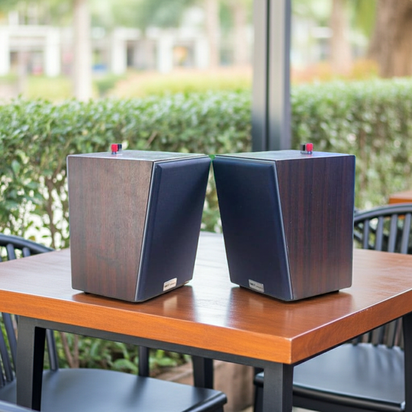 Loa vệ tinh V50  (1 con)