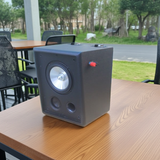 Loa vệ tinh treo tường ngoài trời V66 - 66w