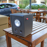 Loa vệ tinh treo tường ngoài trời V66 - 66w