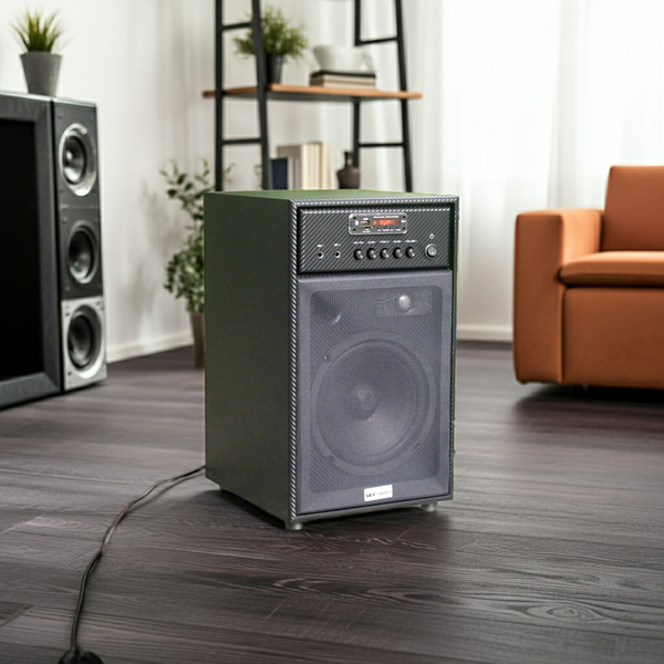 Loa karaoke Bluetooth W242 (giá không micro)