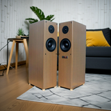 Dàn loa cây karaoke gia đình: W270 Goldsound (đã tích hợp âm ly)