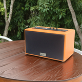 Loa W99 vân gỗ